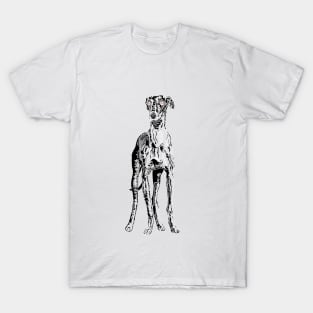 Dogs are Love T-Shirt